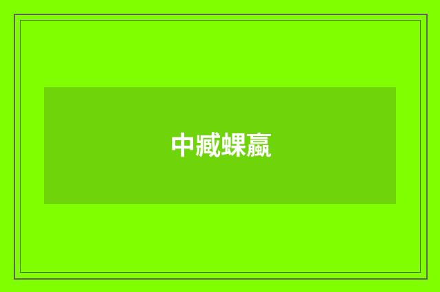 中臧蜾蠃