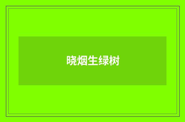 晓烟生绿树