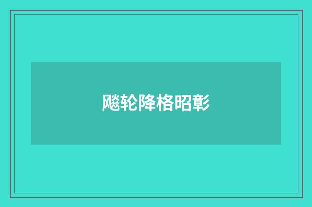 飚轮降格昭彰