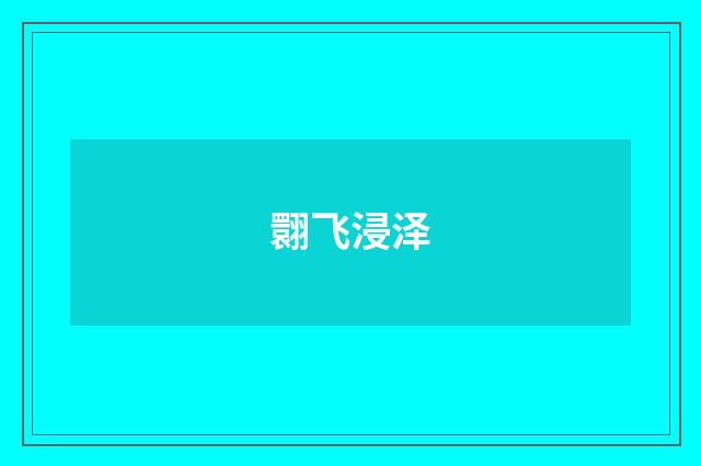 翾飞浸泽