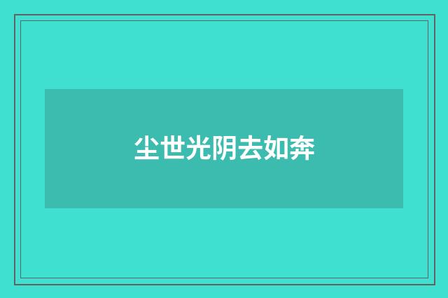 尘世光阴去如奔
