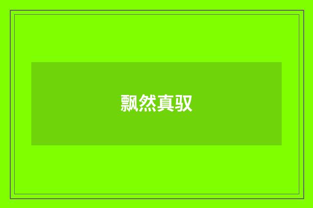 飘然真驭