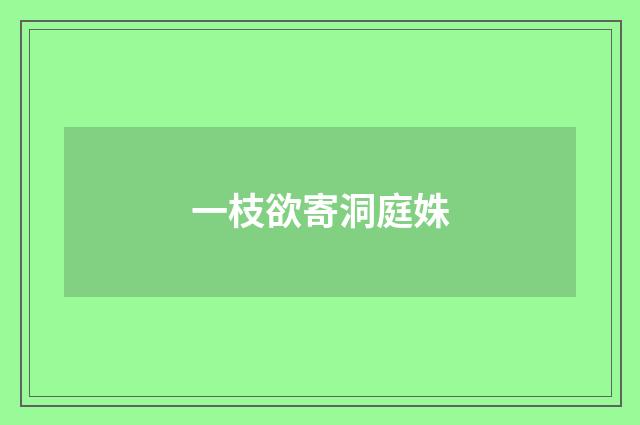一枝欲寄洞庭姝