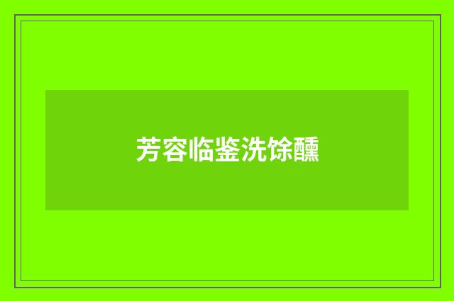 芳容临鉴洗馀醺