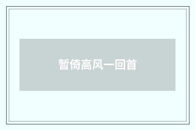 暂倚高风一回首
