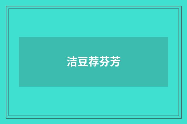 洁豆荐芬芳