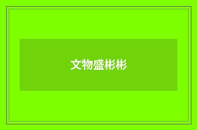 文物盛彬彬