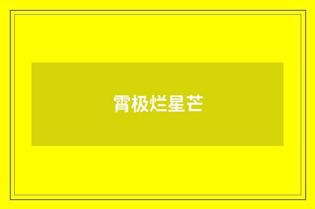 霄极烂星芒
