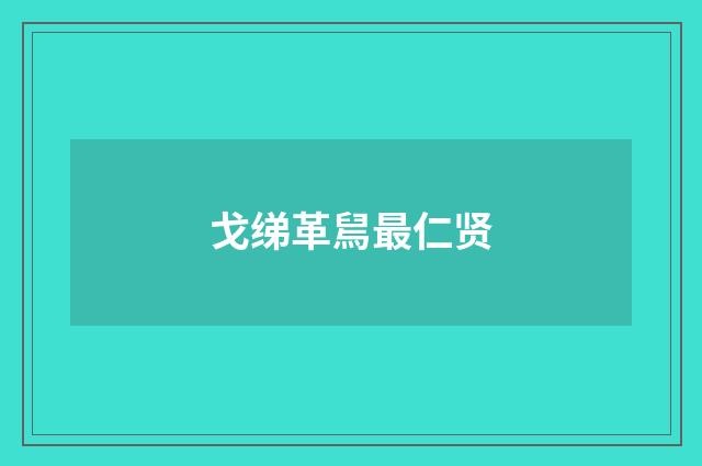 戈绨革舃最仁贤