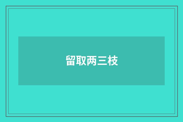 留取两三枝