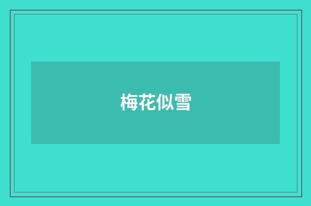 梅花似雪
