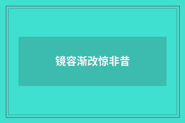 镜容渐改惊非昔