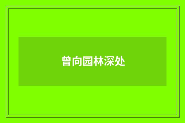曾向园林深处