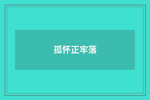 孤怀正牢落