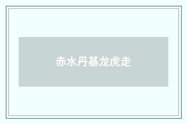 赤水丹基龙虎走