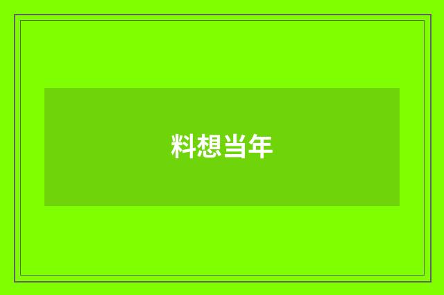 料想当年