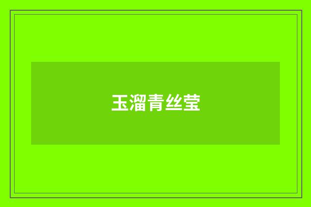 玉溜青丝莹