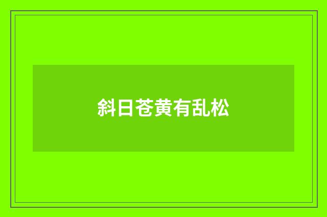 斜日苍黄有乱松