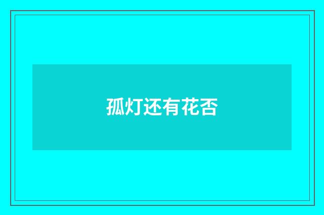 孤灯还有花否