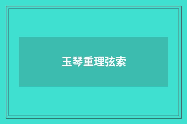 玉琴重理弦索