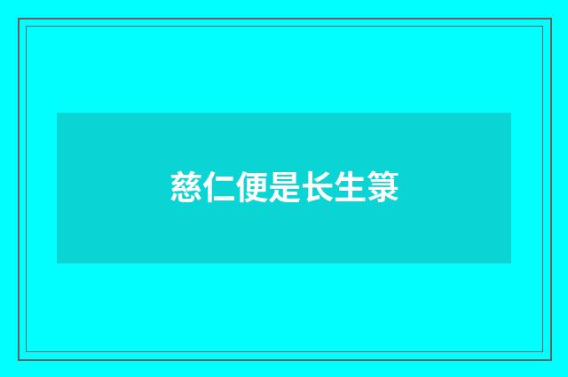 慈仁便是长生箓