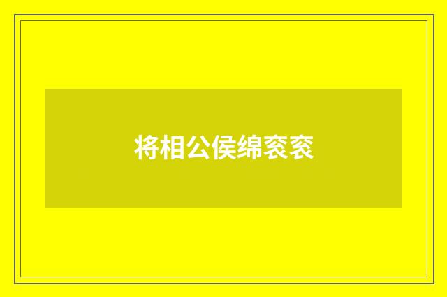 将相公侯绵衮衮