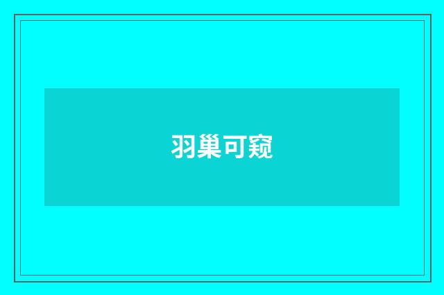 羽巢可窥
