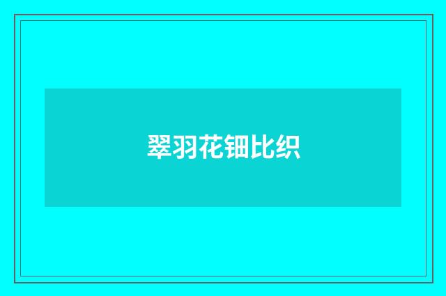 翠羽花钿比织
