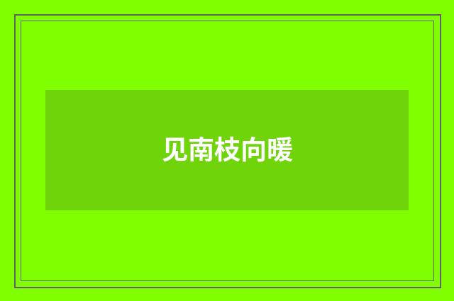 见南枝向暖