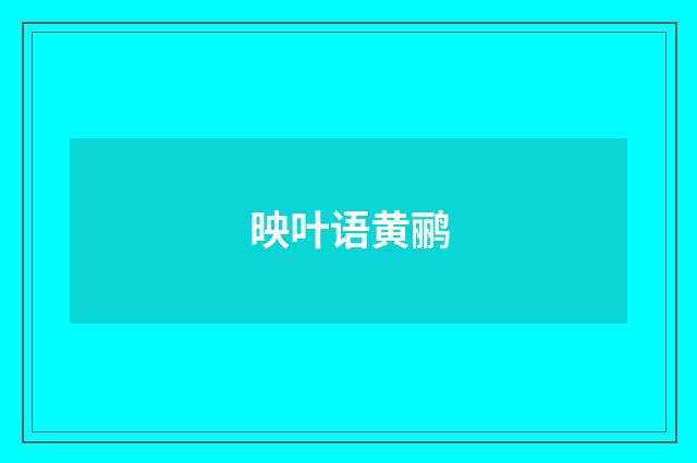 映叶语黄鹂
