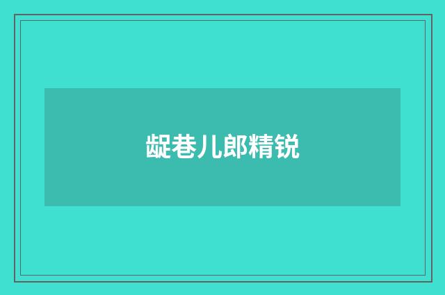 龊巷儿郎精锐