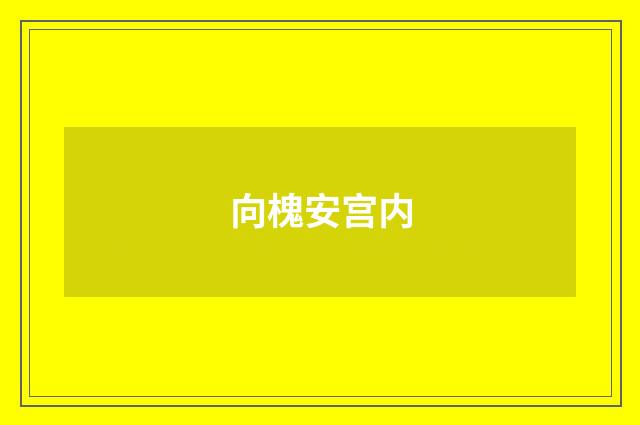 向槐安宫内