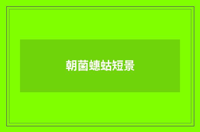 朝菌蟪蛄短景