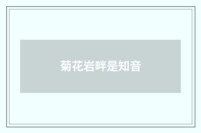 菊花岩畔是知音