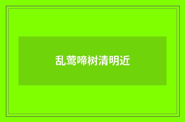 乱莺啼树清明近