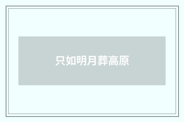 只如明月葬高原