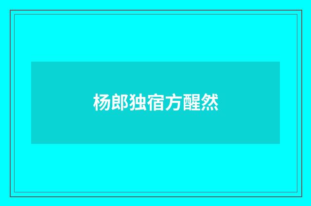 杨郎独宿方醒然