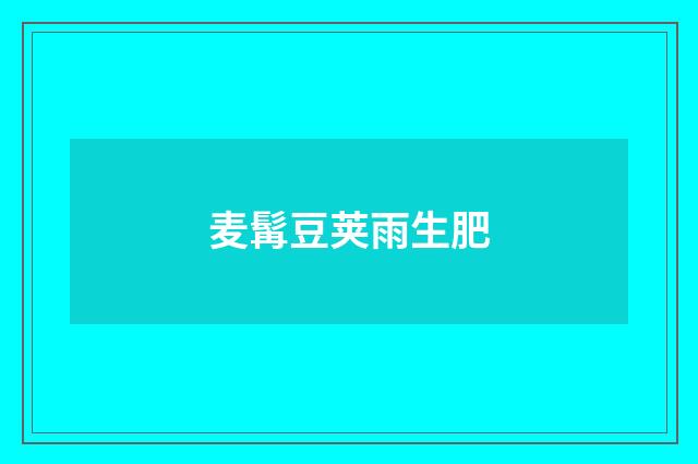 麦髯豆荚雨生肥