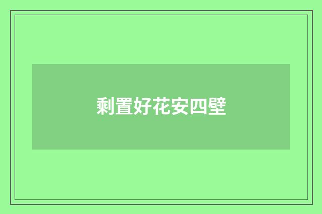剩置好花安四壁
