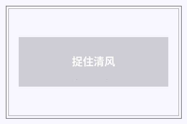 捉住清风