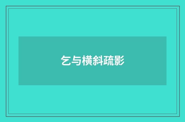 乞与横斜疏影