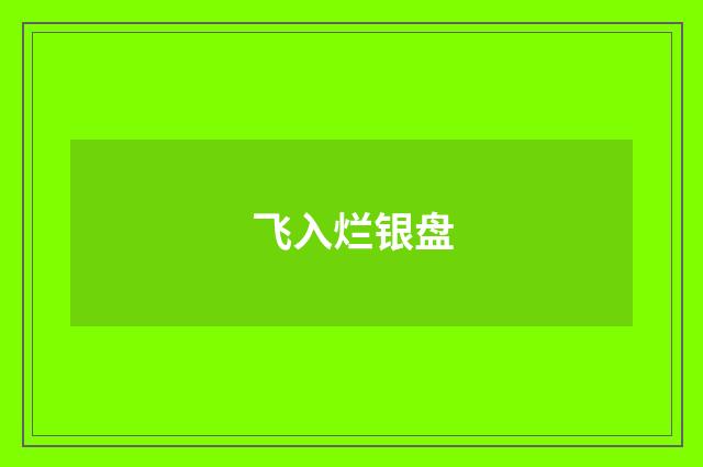 飞入烂银盘