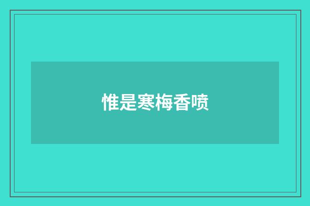 惟是寒梅香喷