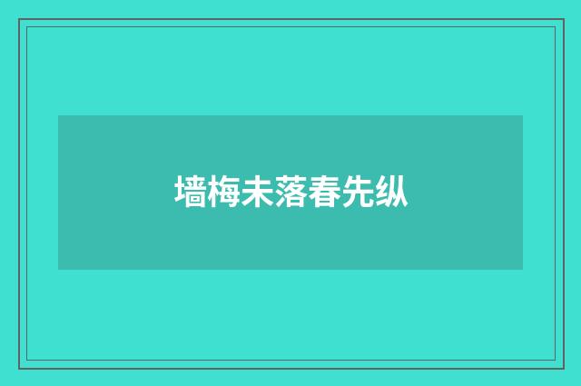 墙梅未落春先纵