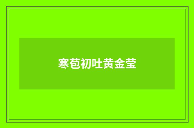 寒苞初吐黄金莹