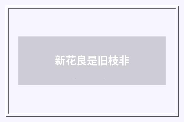 新花良是旧枝非