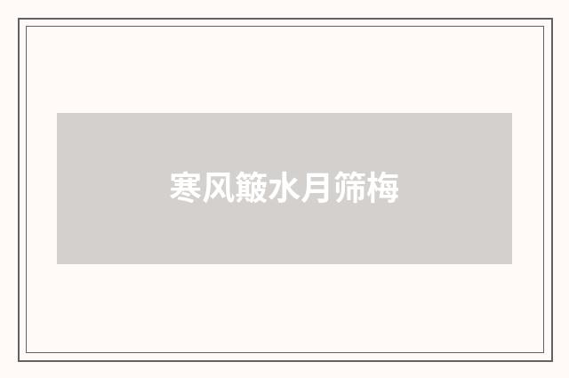 寒风簸水月筛梅
