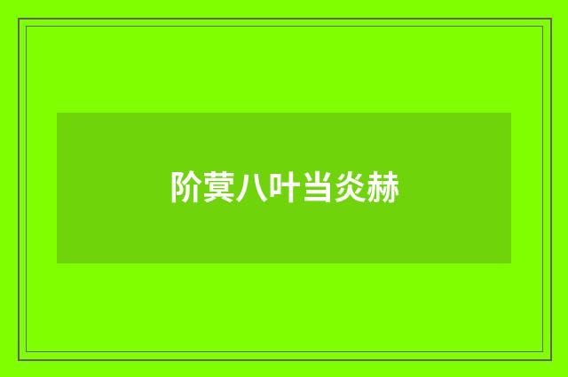 阶蓂八叶当炎赫