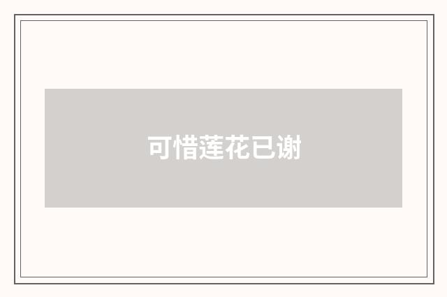 可惜莲花已谢