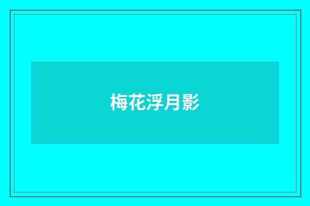 梅花浮月影